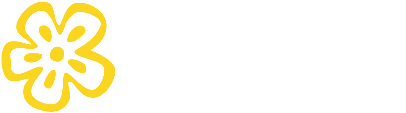 PLUS Logo